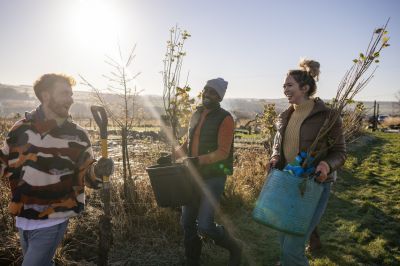 Cherry Tree Planting - Planting Services Eastport, New York