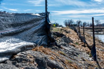 River Bank Erosion Control - Erosion Control Services Clarksdale, Mississippi