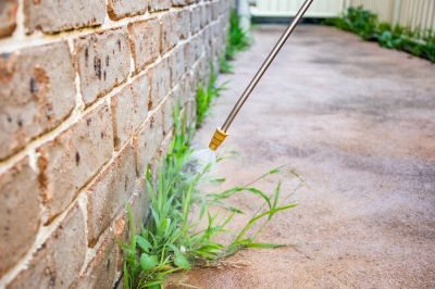 Weed Herbicide Spraying - Weed Removal Cotuit, Massachusetts